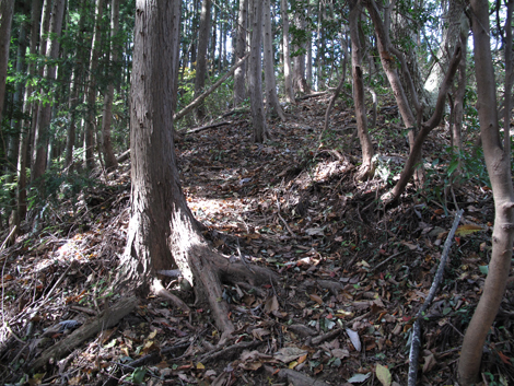 20171102hike (45)